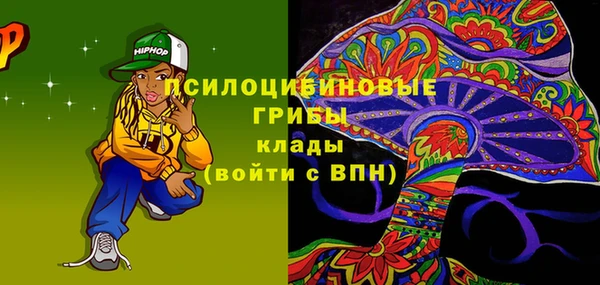 прущие грибы Навашино