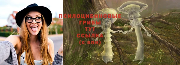 стафф Михайловск