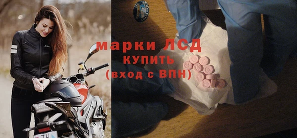 стафф Михайловск