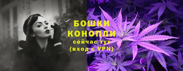 спиды Михайлов