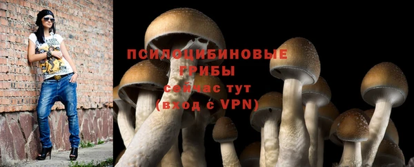 гашик Михайловка