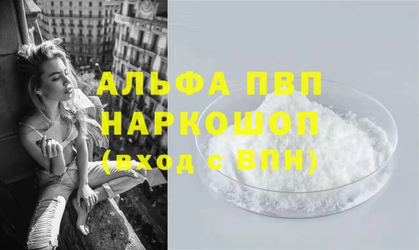 спиды Михайлов
