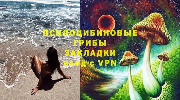спиды Михайлов