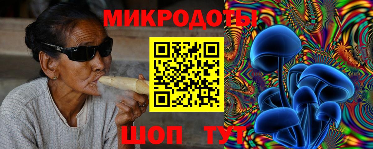 Галлюциногенные грибы Psilocybe Торжок