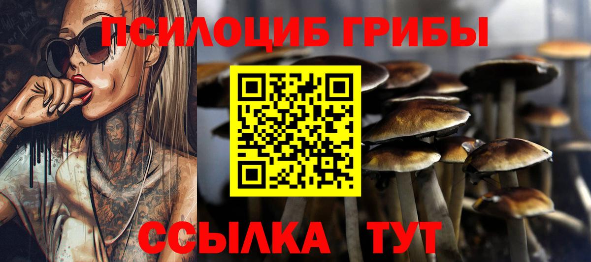 Торжок  цены наркотик  Псилоцибиновые грибы Magic Shrooms  Вход с VPN  Галлюциногенные грибы прущие грибы 