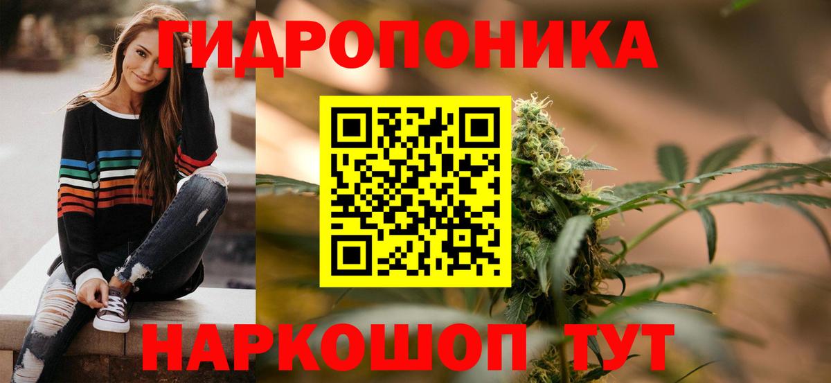 Марихуана планчик  Каннабис индика  Торжок  Вход с VPN 